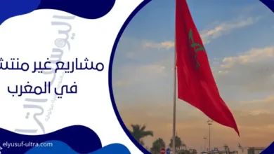 مشاريع غير منتشرة في المغرب