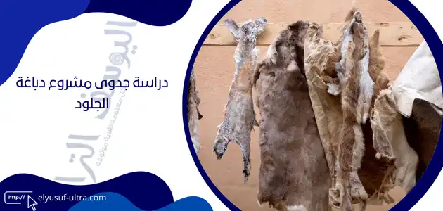 دراسة جدوى مشروع دباغة الجلود